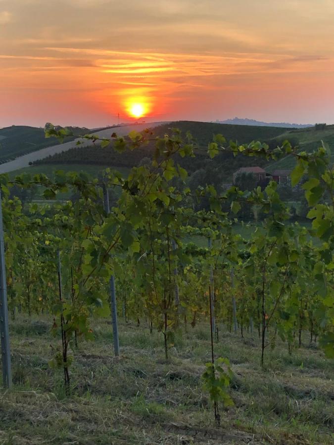 Villa Vigneto San Marzano Oliveto Exteriör bild