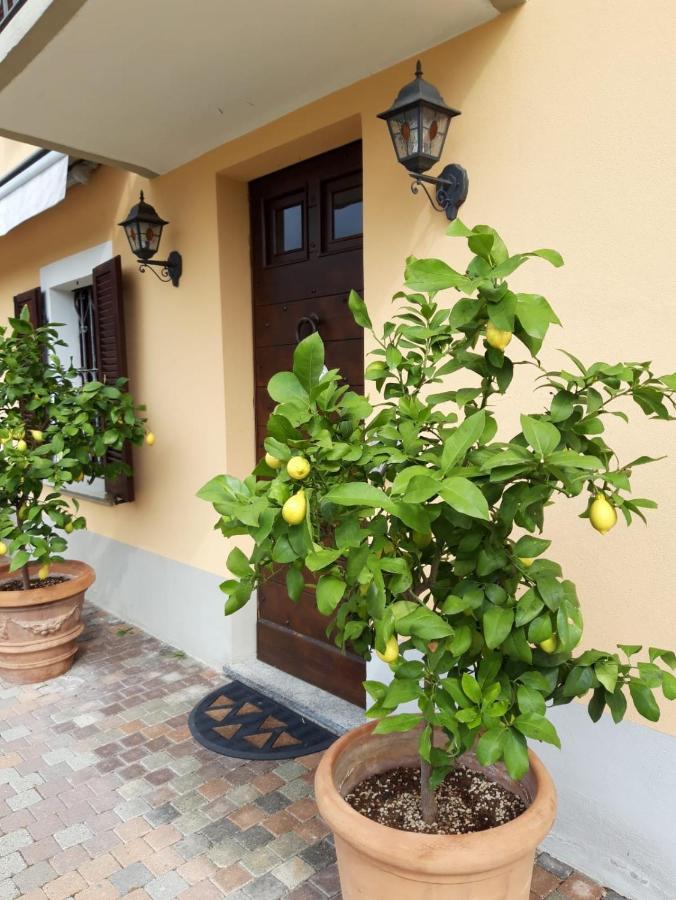 Villa Vigneto San Marzano Oliveto Exteriör bild