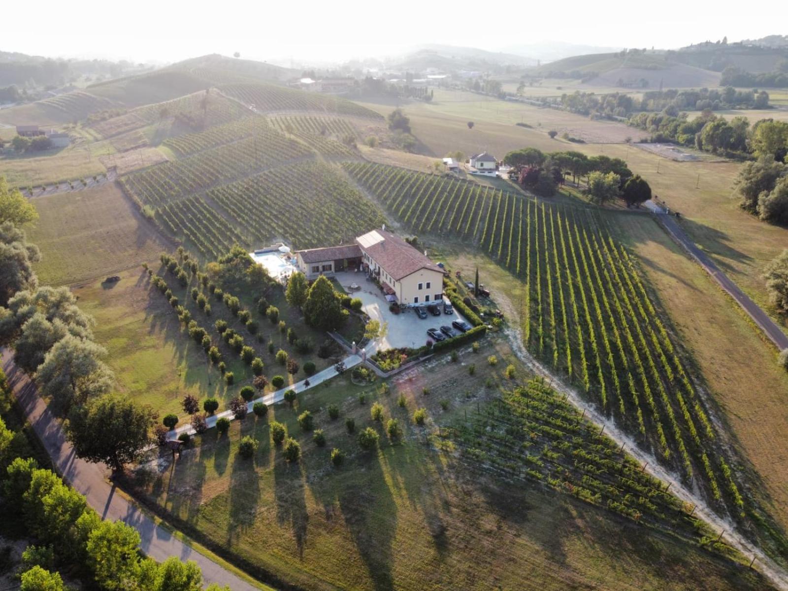 Villa Vigneto San Marzano Oliveto Exteriör bild